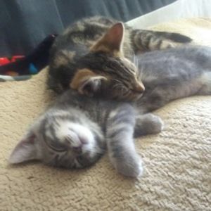 Meet your Posher, Lillian